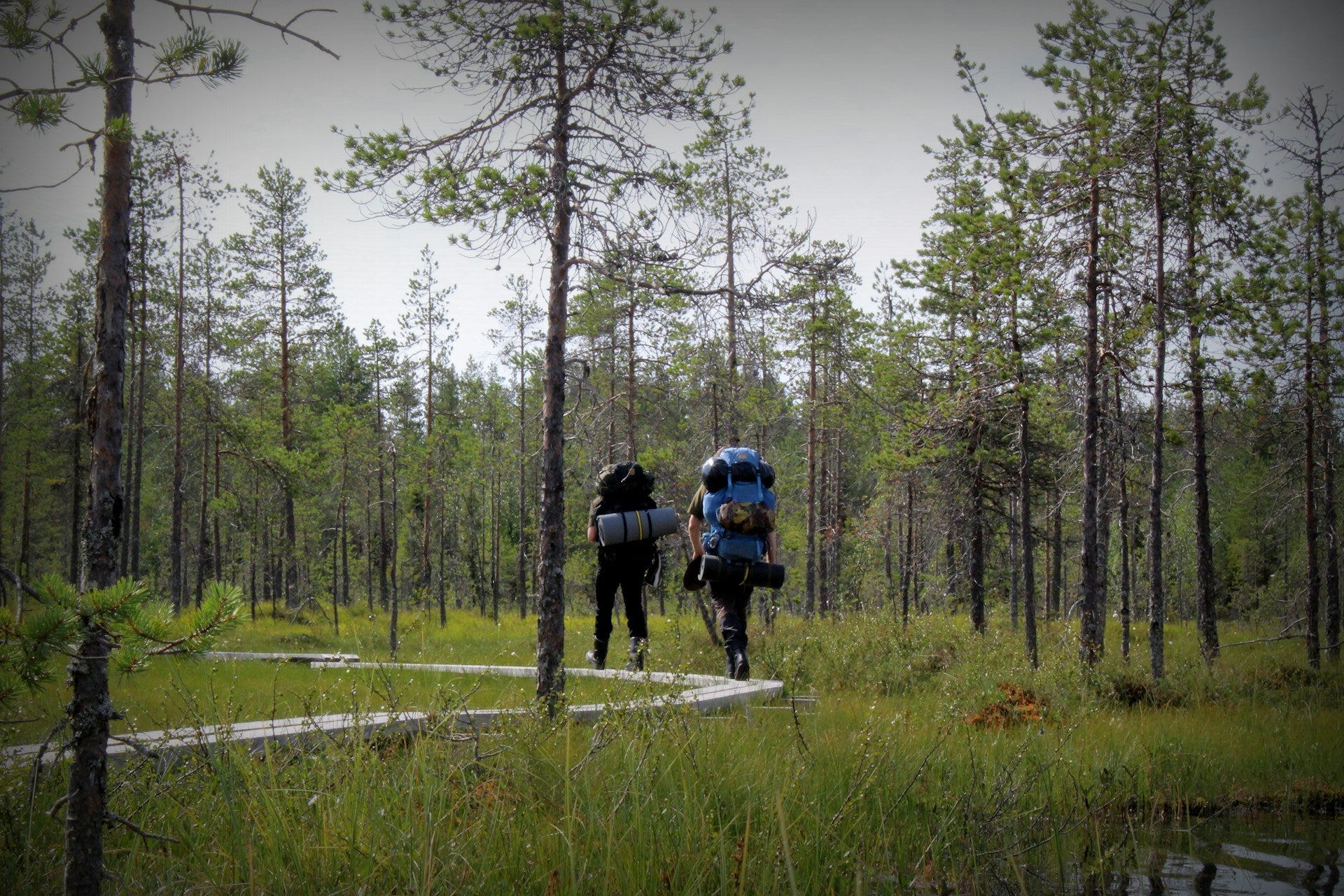 Packing the Perfect Daypack for Hiking Nyack Trails