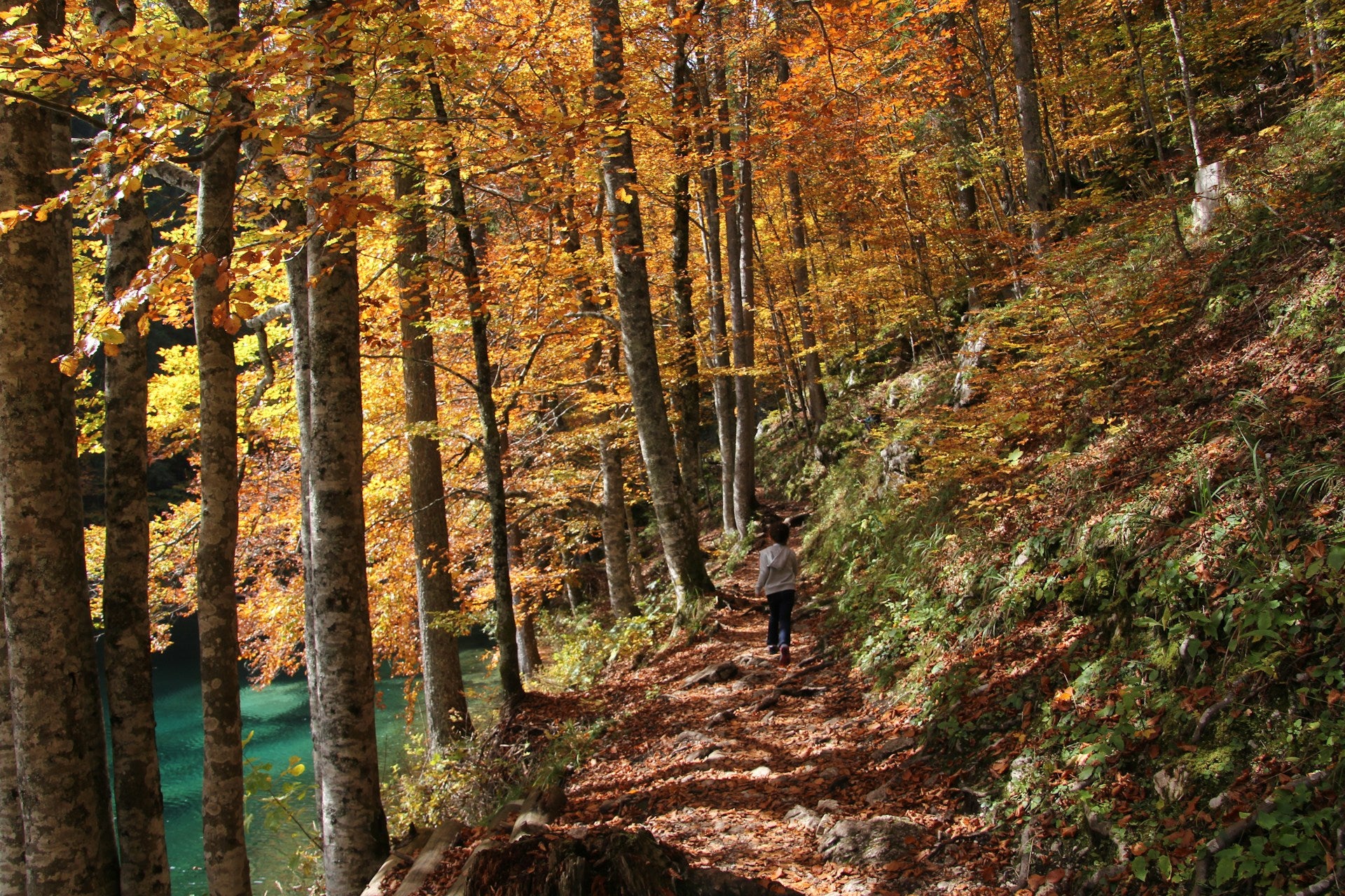 Top 5 Scenic Hikes in Nyack and the Hudson Valley