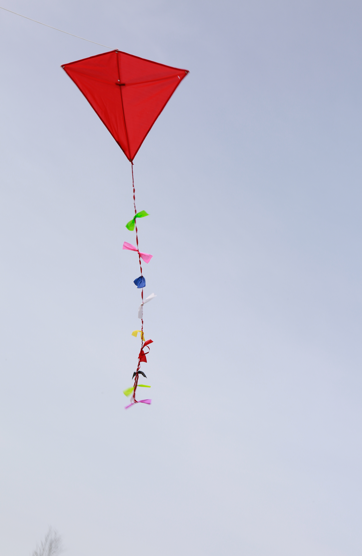 Huckleberry Red Kite